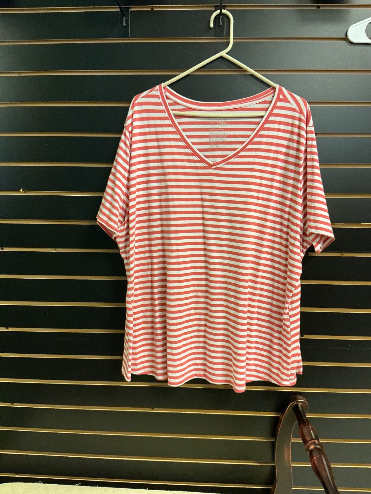 Terra & Sky T-Shirt 3X Coral and White