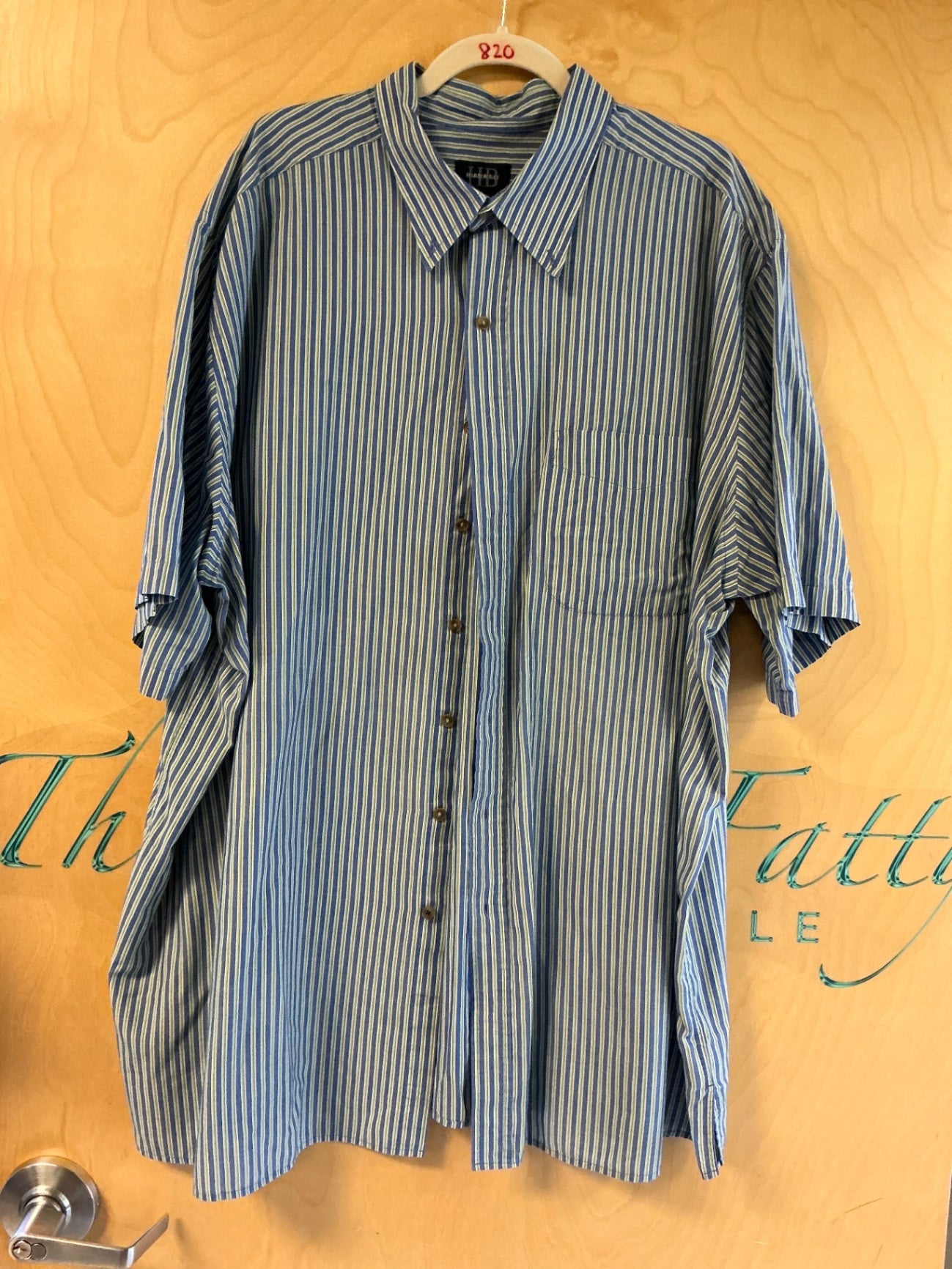 Harbor Bay Short Sleeve Button-Up Shirt - Blue and white striped - 3XLT