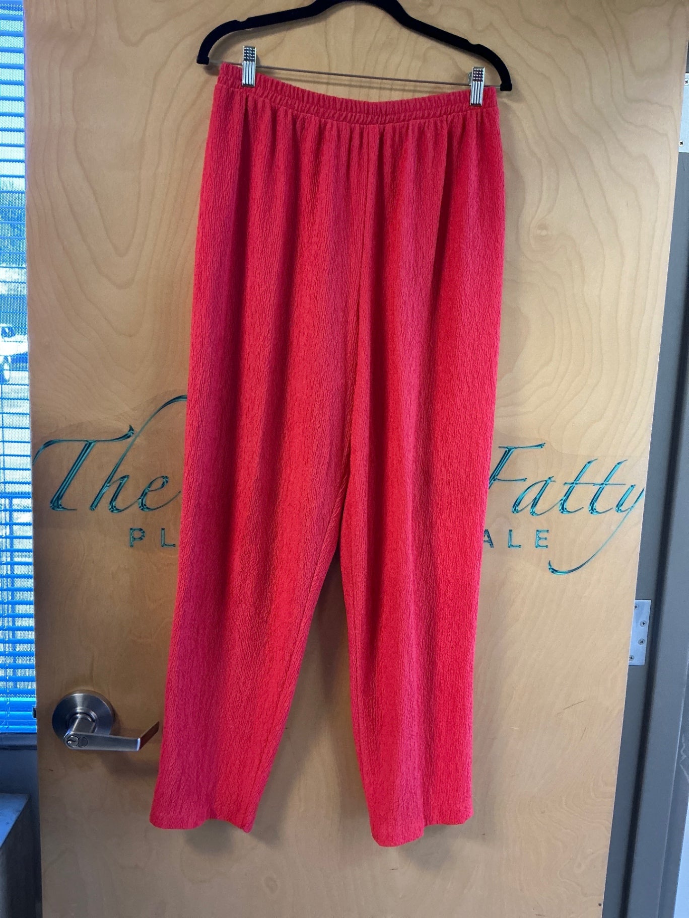 Liz Baker Pants - Red - 1X