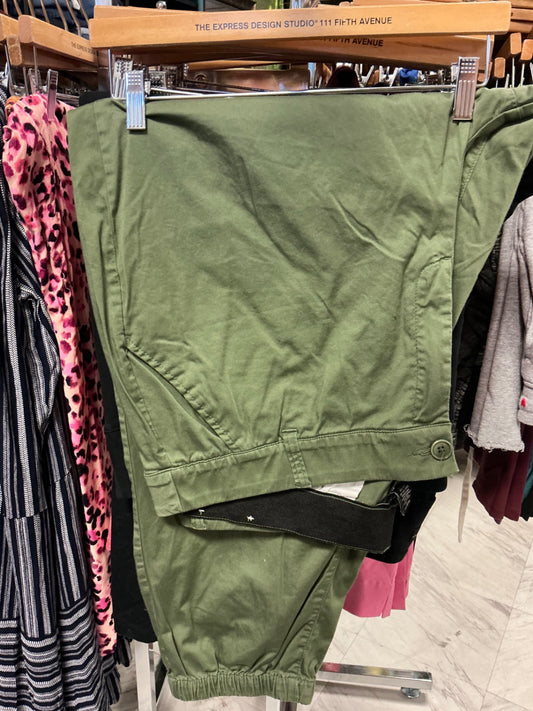 Lane Bryant Pant 22 Olive Green NWOT