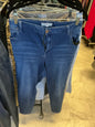 Merle Skye Jeans 22W Blue