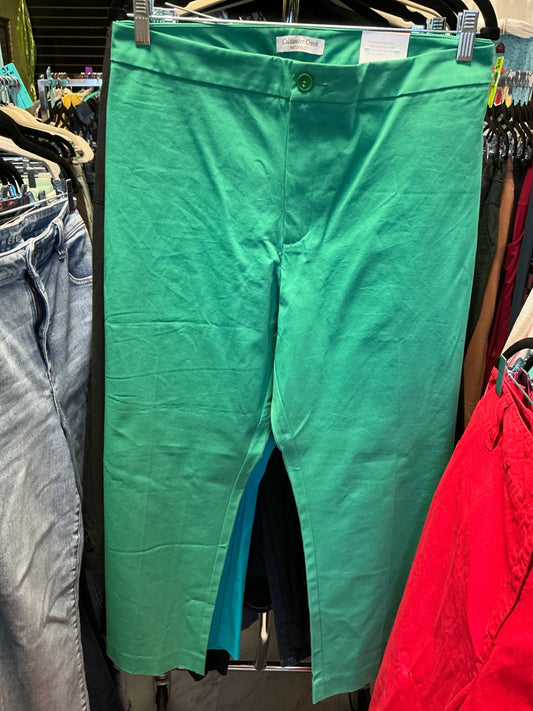 Coldwater Creek Pants 22 Green NWT