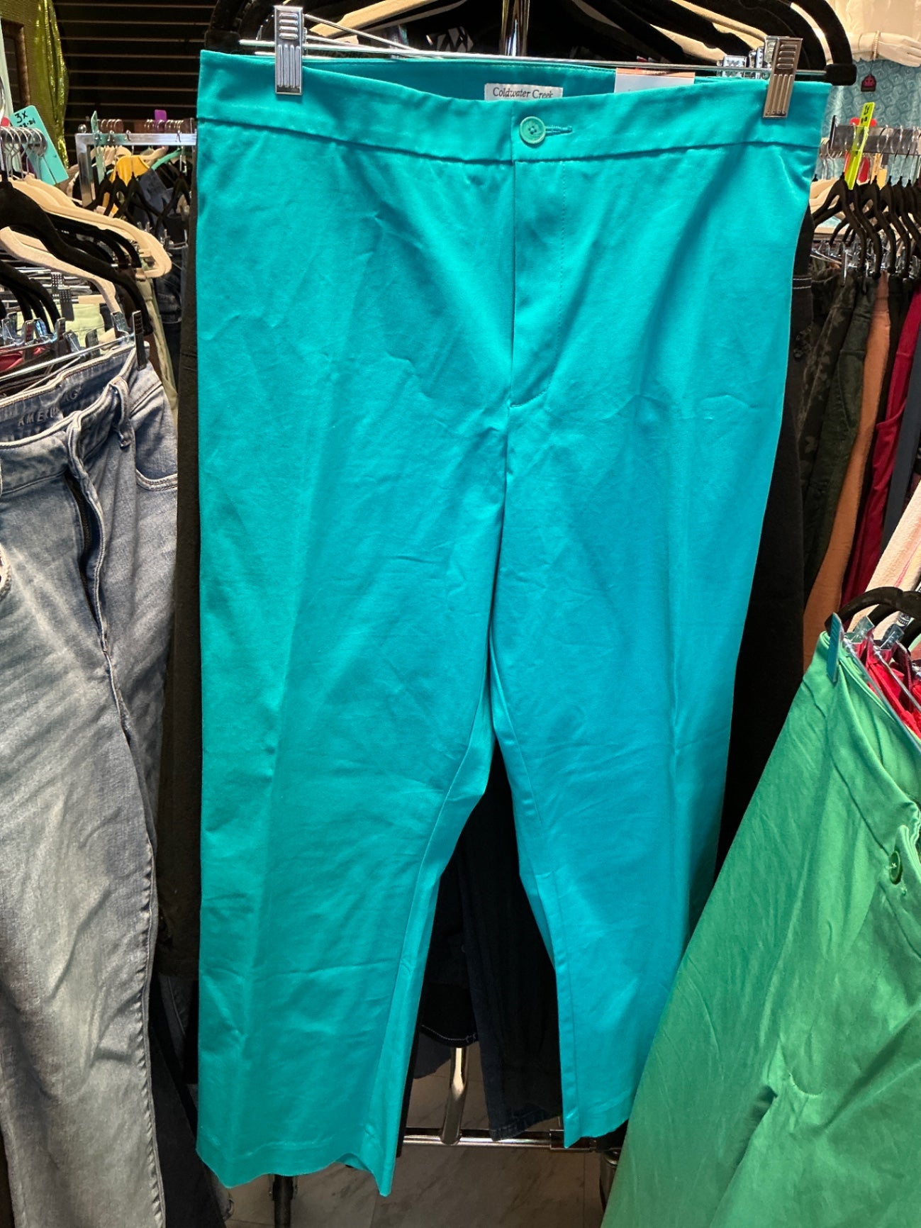Coldwater Creek Pants 24 Turquoise NWT