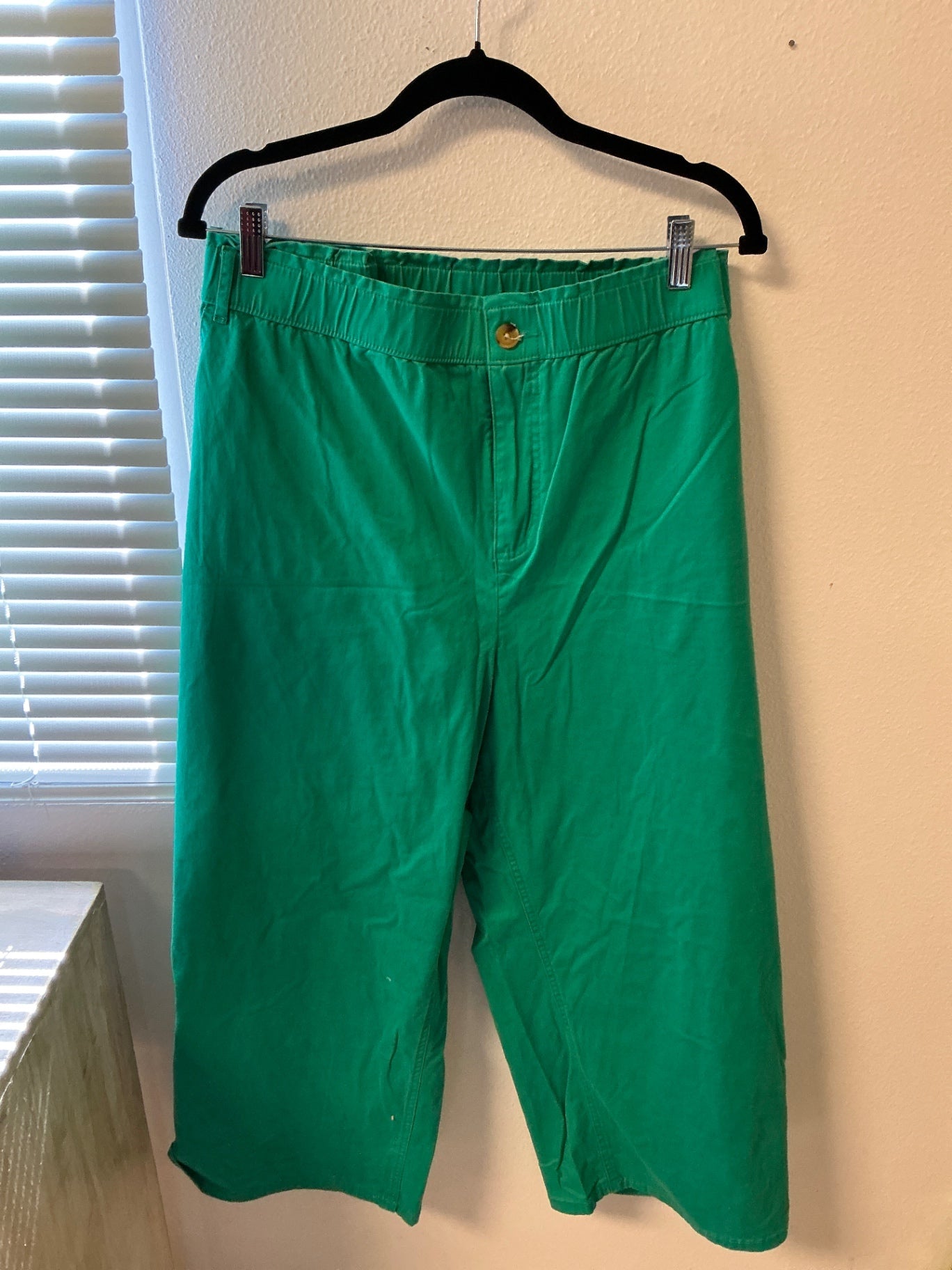 D & Co Pants - Green - 4X