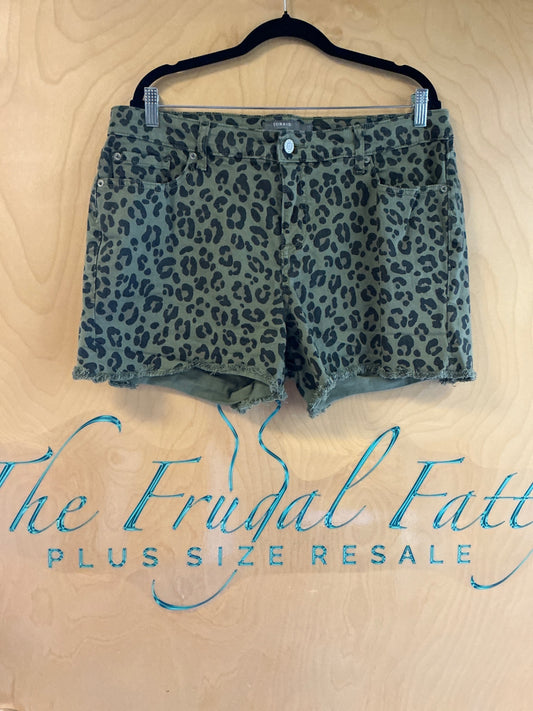 Torrid Shorts - Olive green with black leopard print - 16