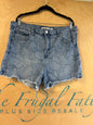 Celebrity Pink Shorts - Gray - 21/35