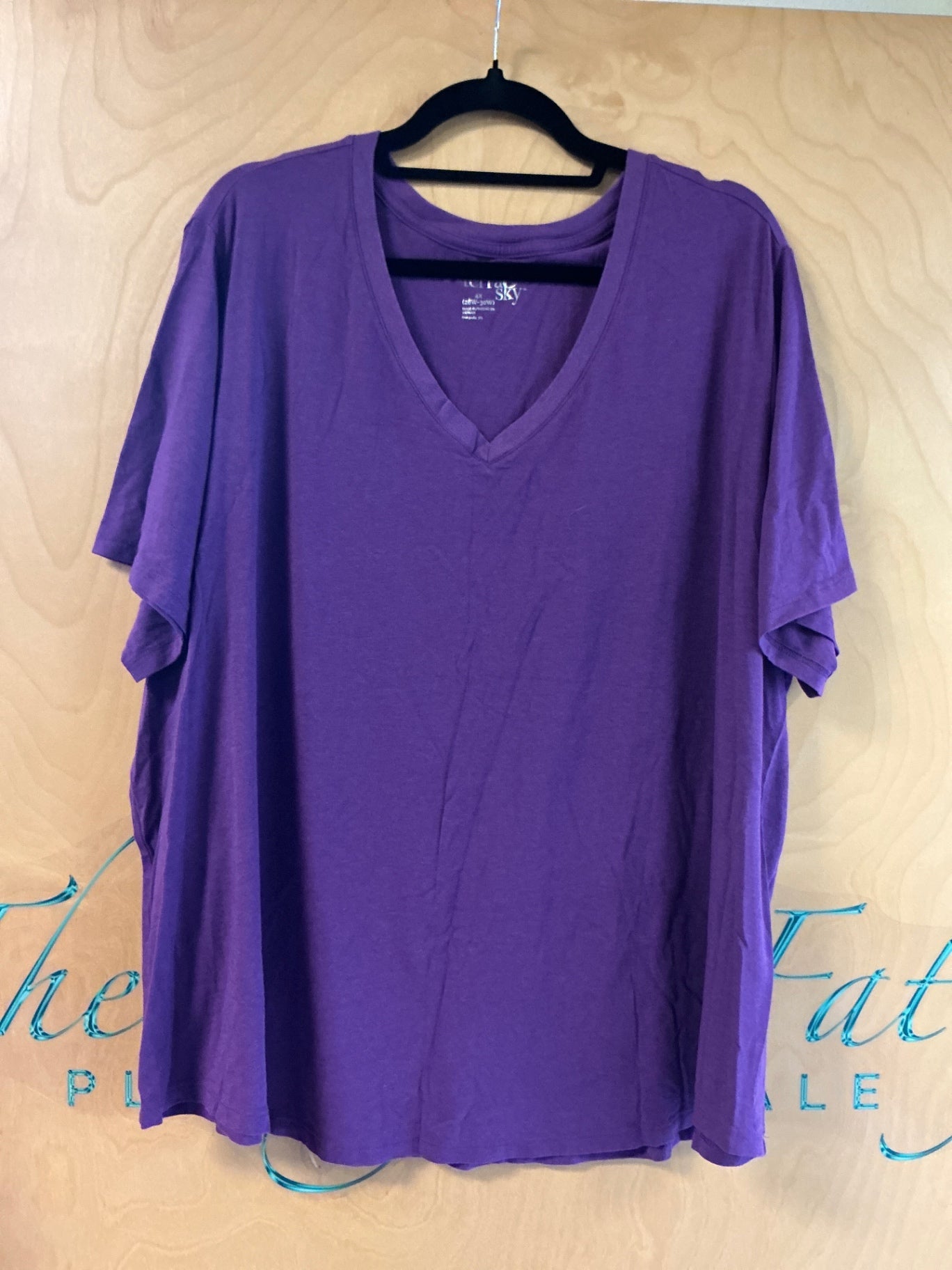 Terra & Sky T-Shirt - Purple - 4X