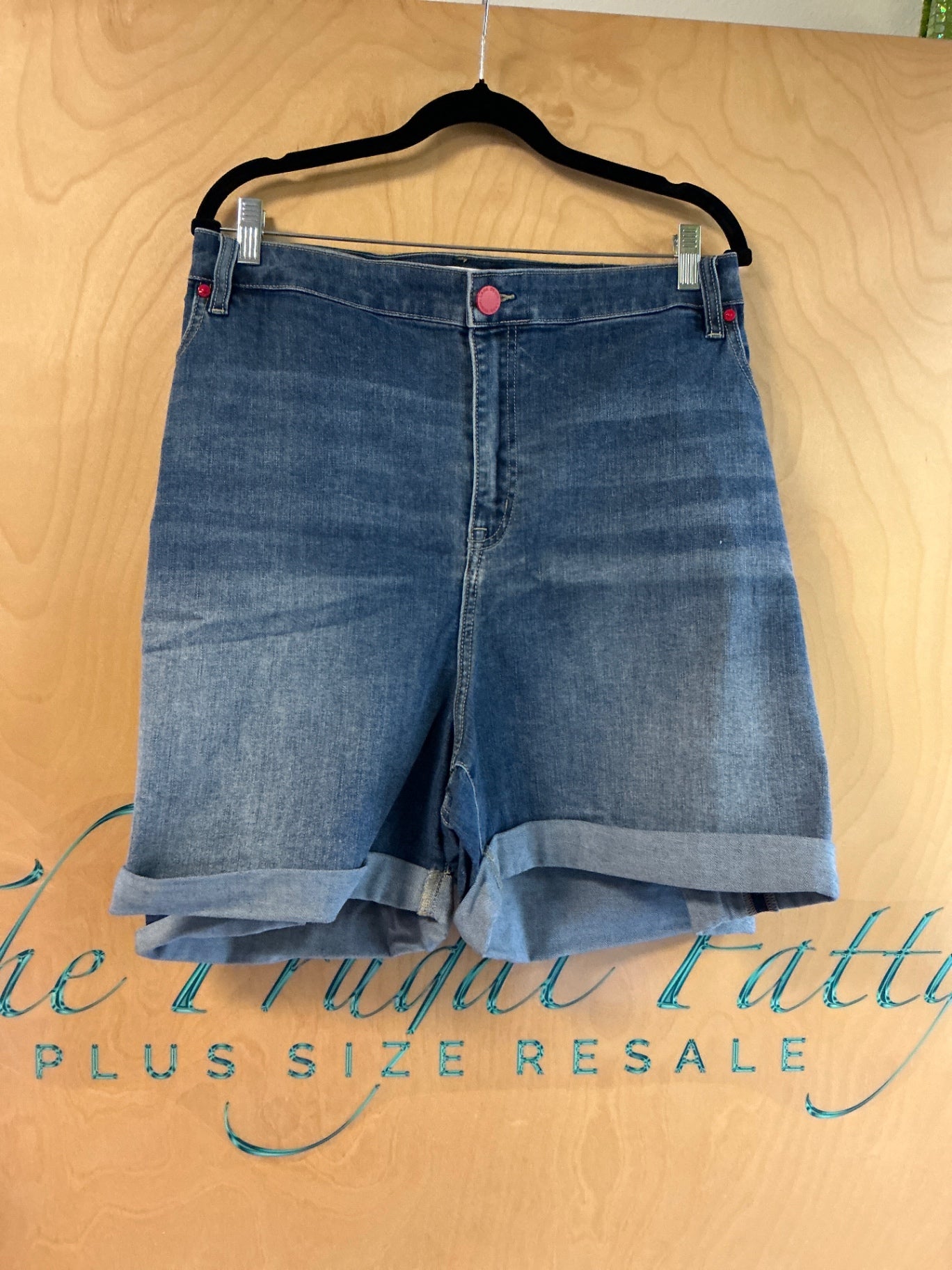 Lane Bryant Shorts - Blue - 28